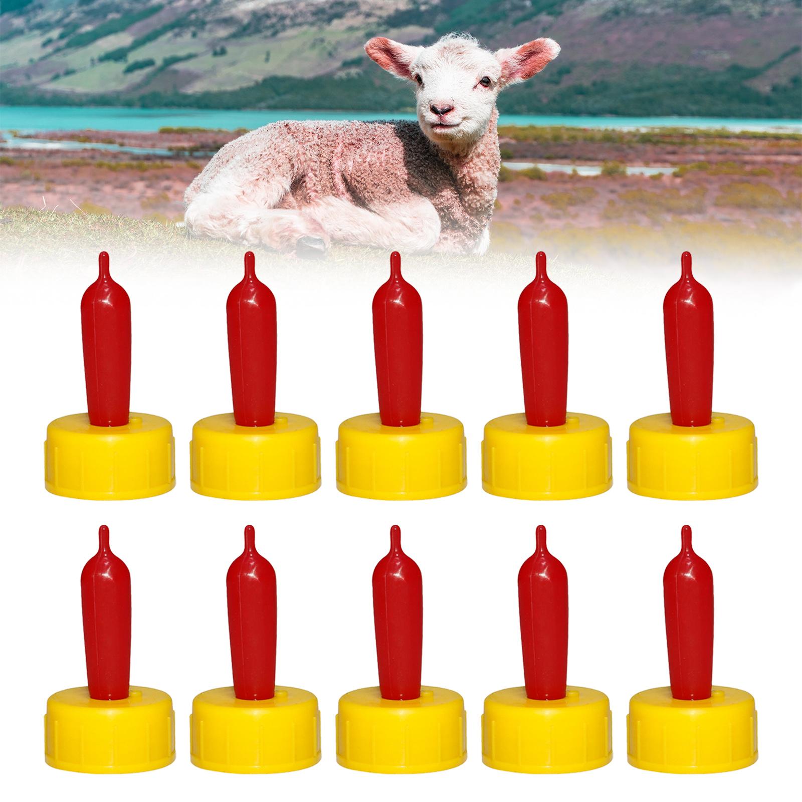 Bico de Borracha Macio para Ov - Agriculture Farming And Livestock avaliação e preço