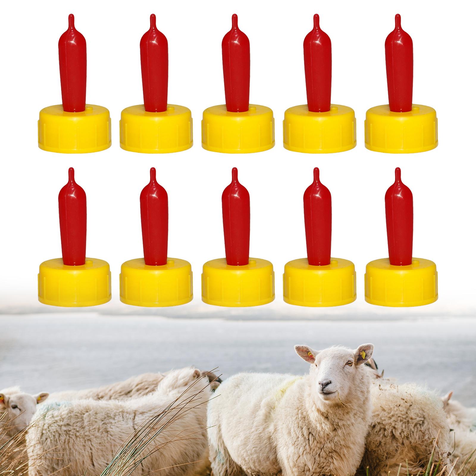 Bico de Borracha Macio para Ov - Agriculture Farming And Livestock avaliação e preço