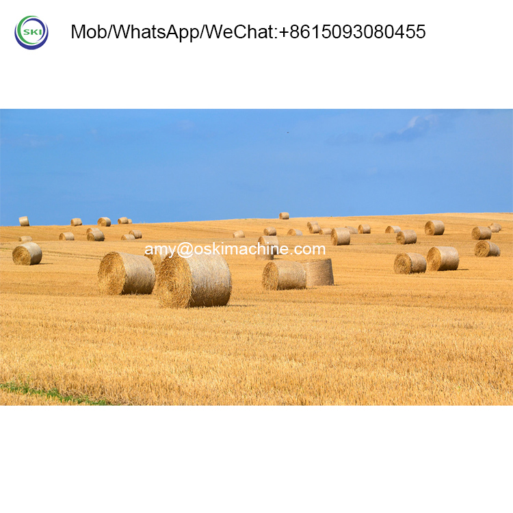 Máquina de Enfardamento Automá - Silage Baler Machine avaliação e preço