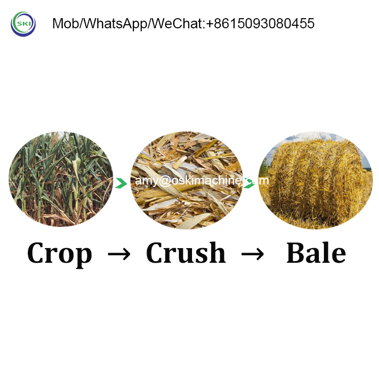 Máquina de Enfardamento Automá - Silage Baler Machine avaliação e preço